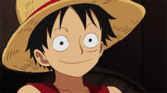 Monkey D. Luffy モンキー・D・ルフィ from One Piece ワンピース