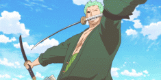 Roronoa Zoro ロロノア・ゾロ from One Piece ワンピース
