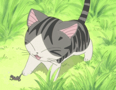 Chi’s Sweet Home animated gif