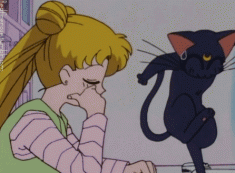 Luna cat is not having a good day – sailor moon animated gif