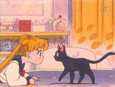 Luna is a talking cat AND advisor to Usagi Tsukino – sailor moon animated gif