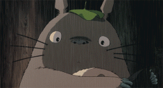 My Neighbor Totoro animated gif