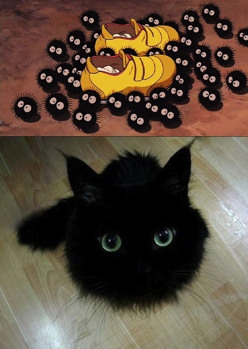 Sootballs are real! Spirited Away 千と千尋の神隠し