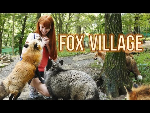 Fox Village in Zao Japan! 蔵王きつね村・kitsune mura – YouTube video