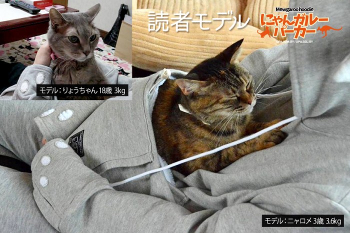 Hoodie with sewn-in cat-carrying pouch is the ultimate gift for the crazy cat lady in your life  ...