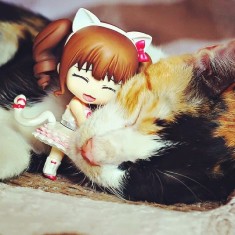 Yukari loves cats!