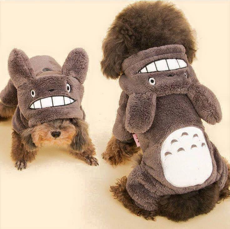 a doggie cosplaying as totoro