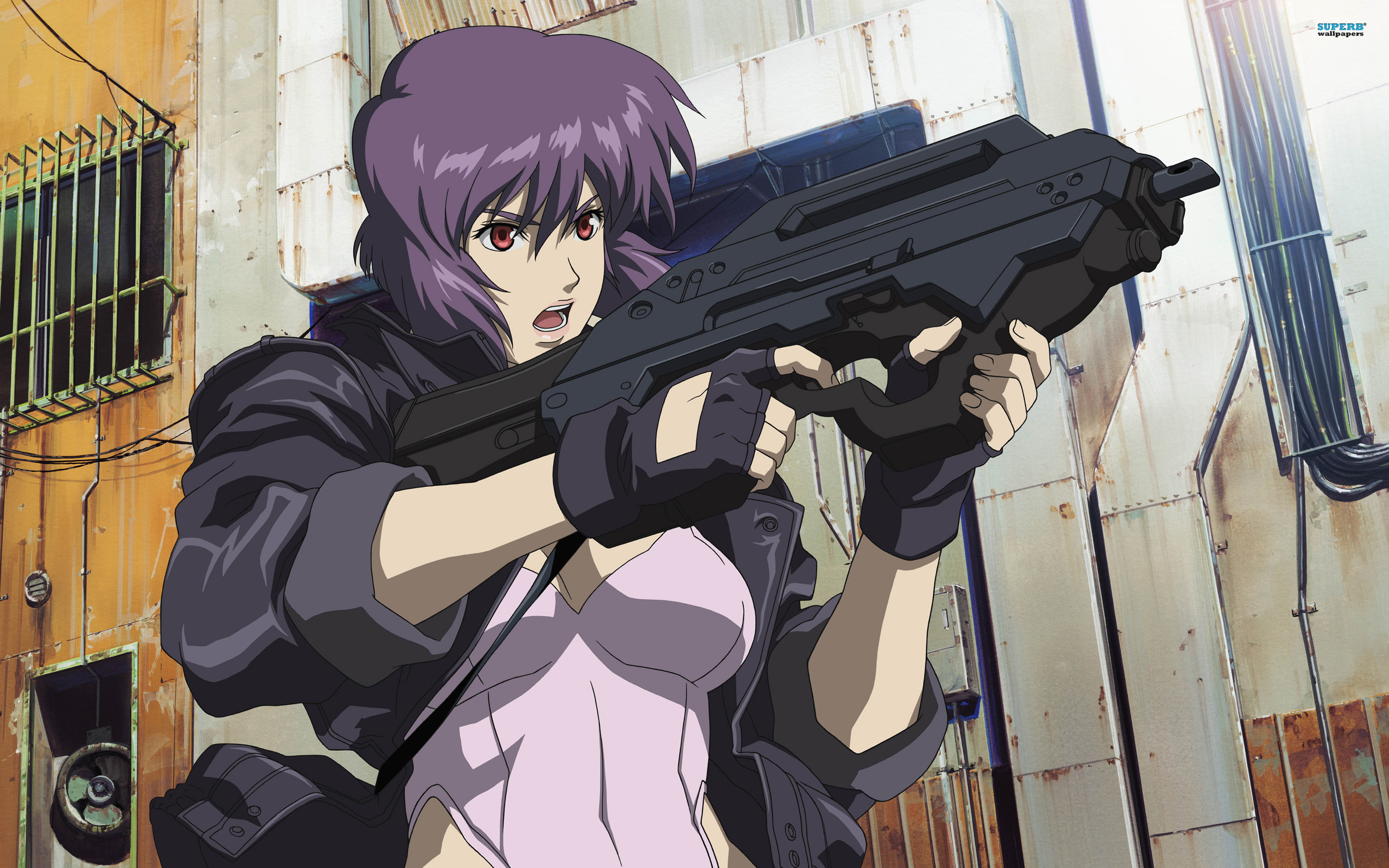 Ghost in the Shell: Stand Alone Complex - wide 3
