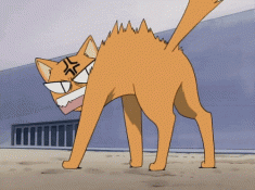 Kyo Sohma as a cat in his zodiac form animated GIF –  Fruits Basket フルーツバスケット