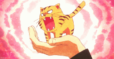 The palm top tiger roars!  Toradora! とらドラ! animated GIF