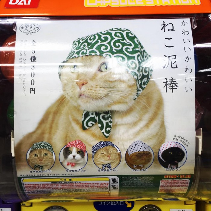Cat hat gashapon machine spotted in Japan at the Yodobashi-Akiba Megastore ガシャポン