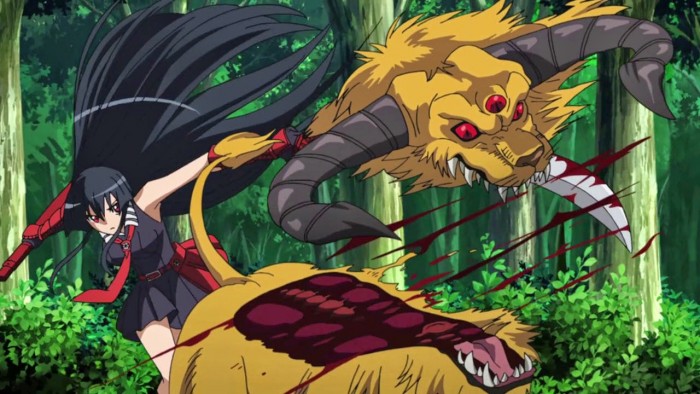 Akame ga Kill! – Monster was killed by Akame